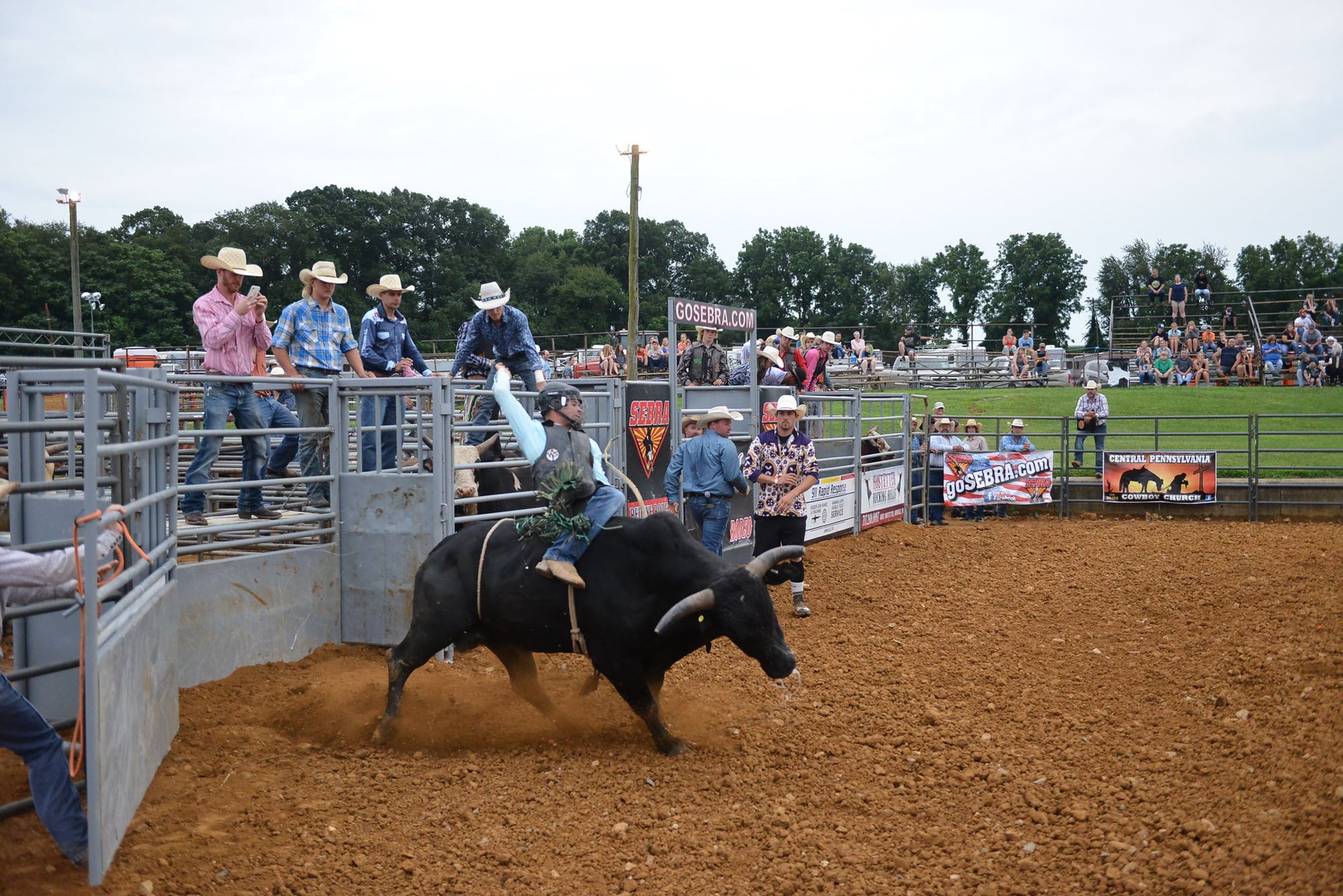 Laidely Showgrounds Rodeo Rodeo