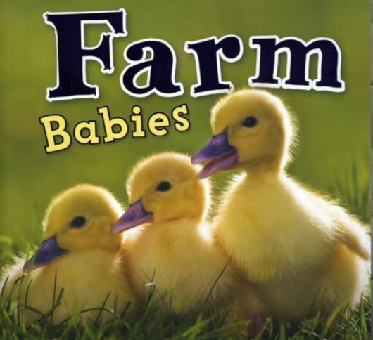 Farm Babies