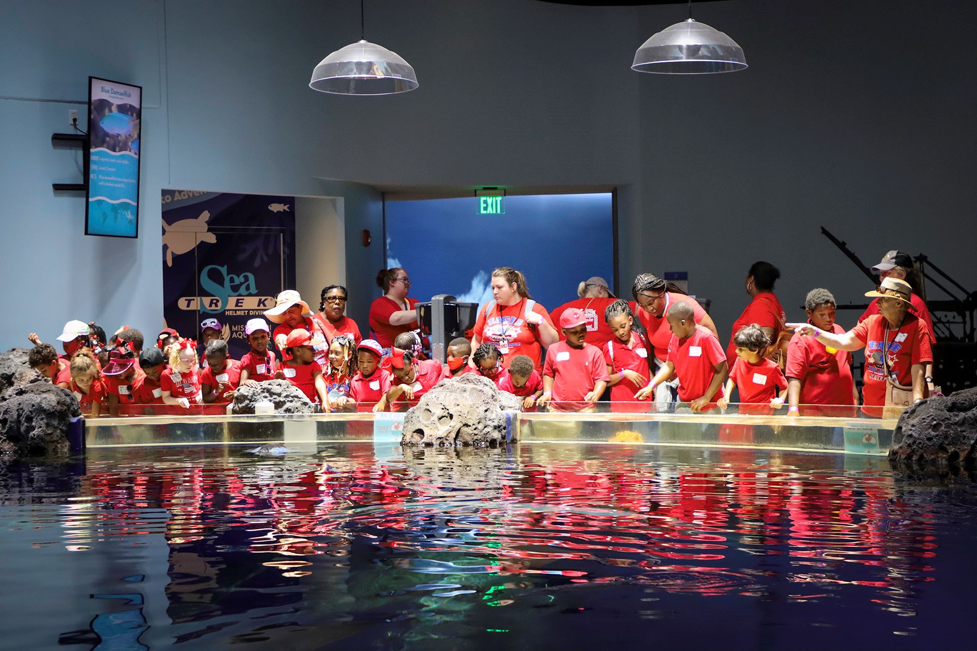 School group viewing a Mississippi Aquarium touch pool exhibit