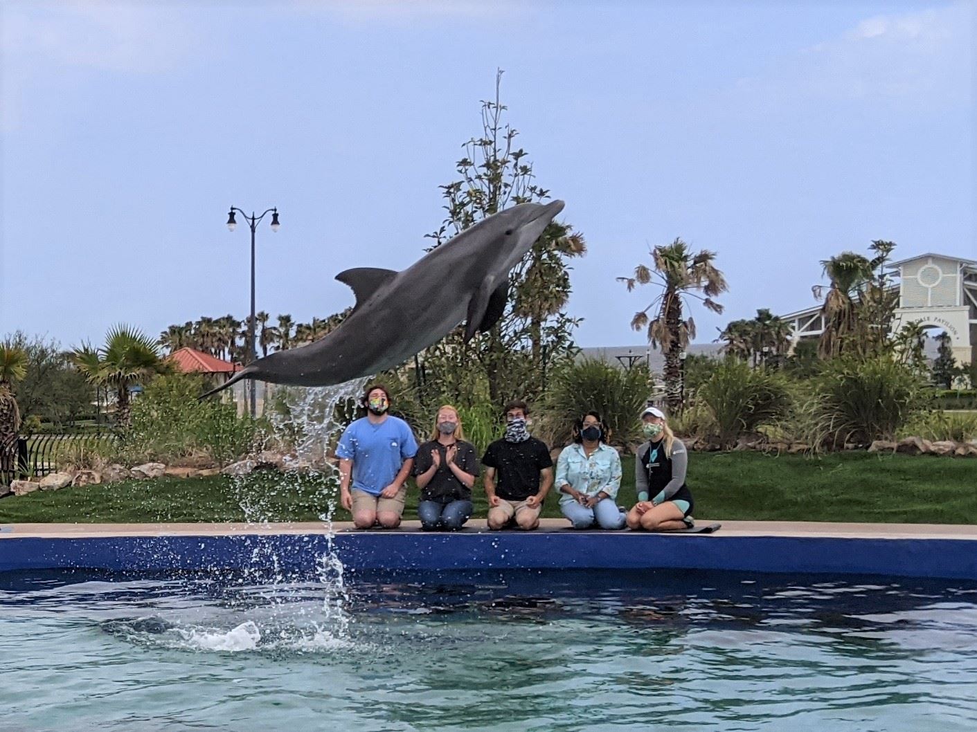 dolphin excursions biloxi ms
