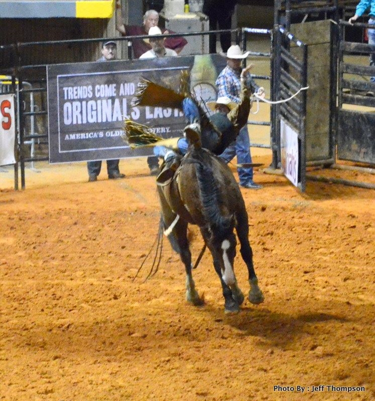 Pta Rodeo Photo Gallery Detail