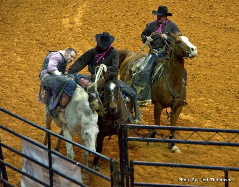 Jc Hawk Rodeo Photo Gallery Detail
