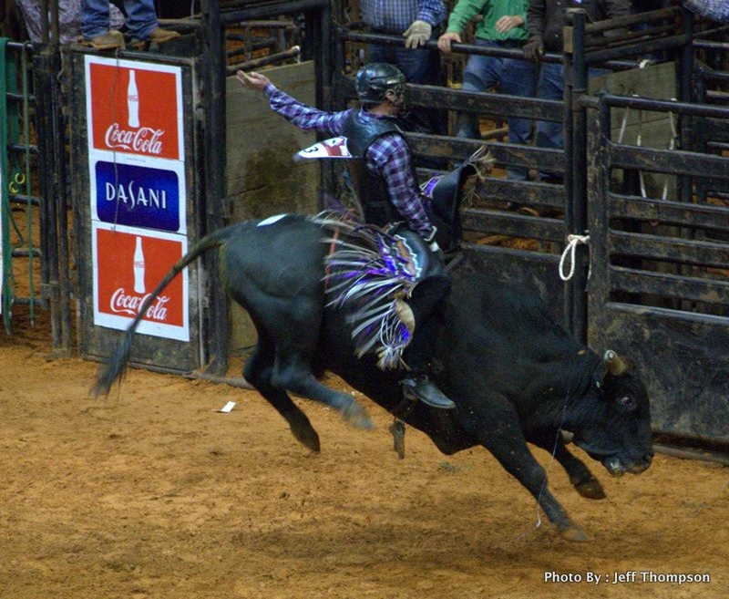 Secc Rodeo Photo Gallery Detail