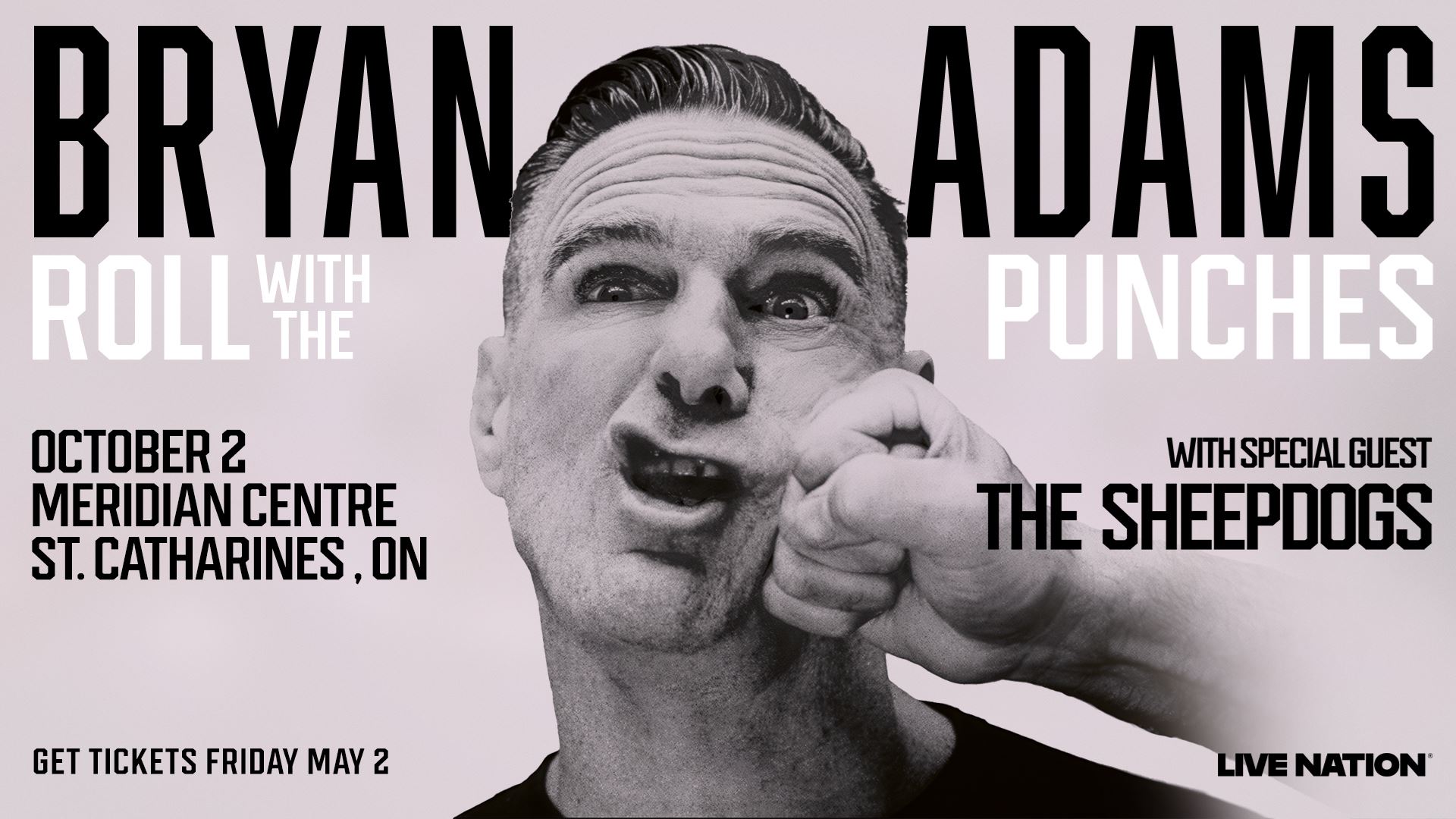 Bryan Adams- Roll With the Punches