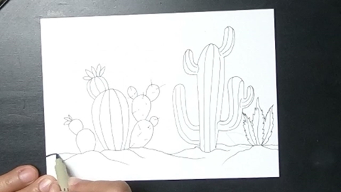 MAC Doodles: Succulents + Cactus