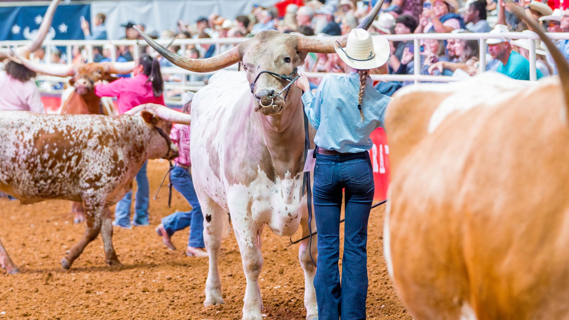 Mosquito Rodeo Tickets | Mesquite Rodeo