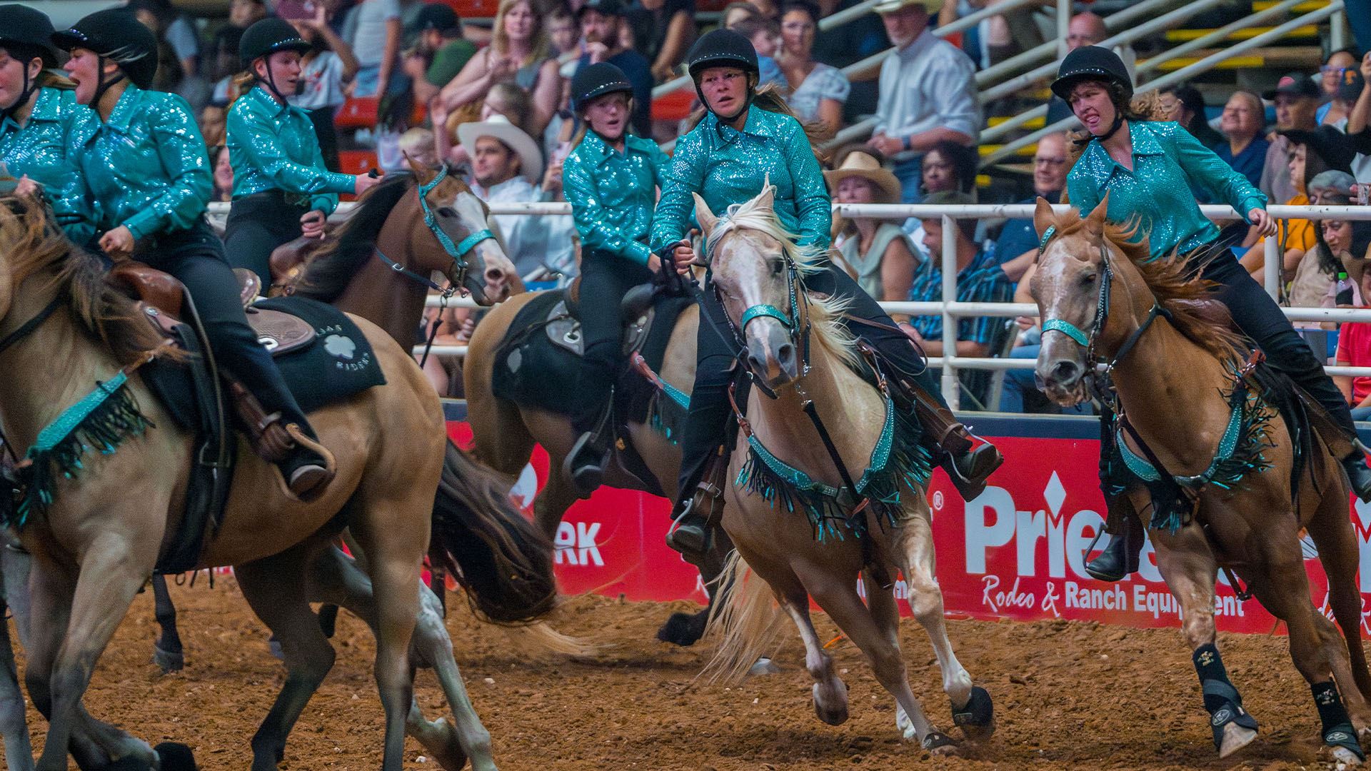 Mosquito Rodeo Tickets | Mesquite Rodeo