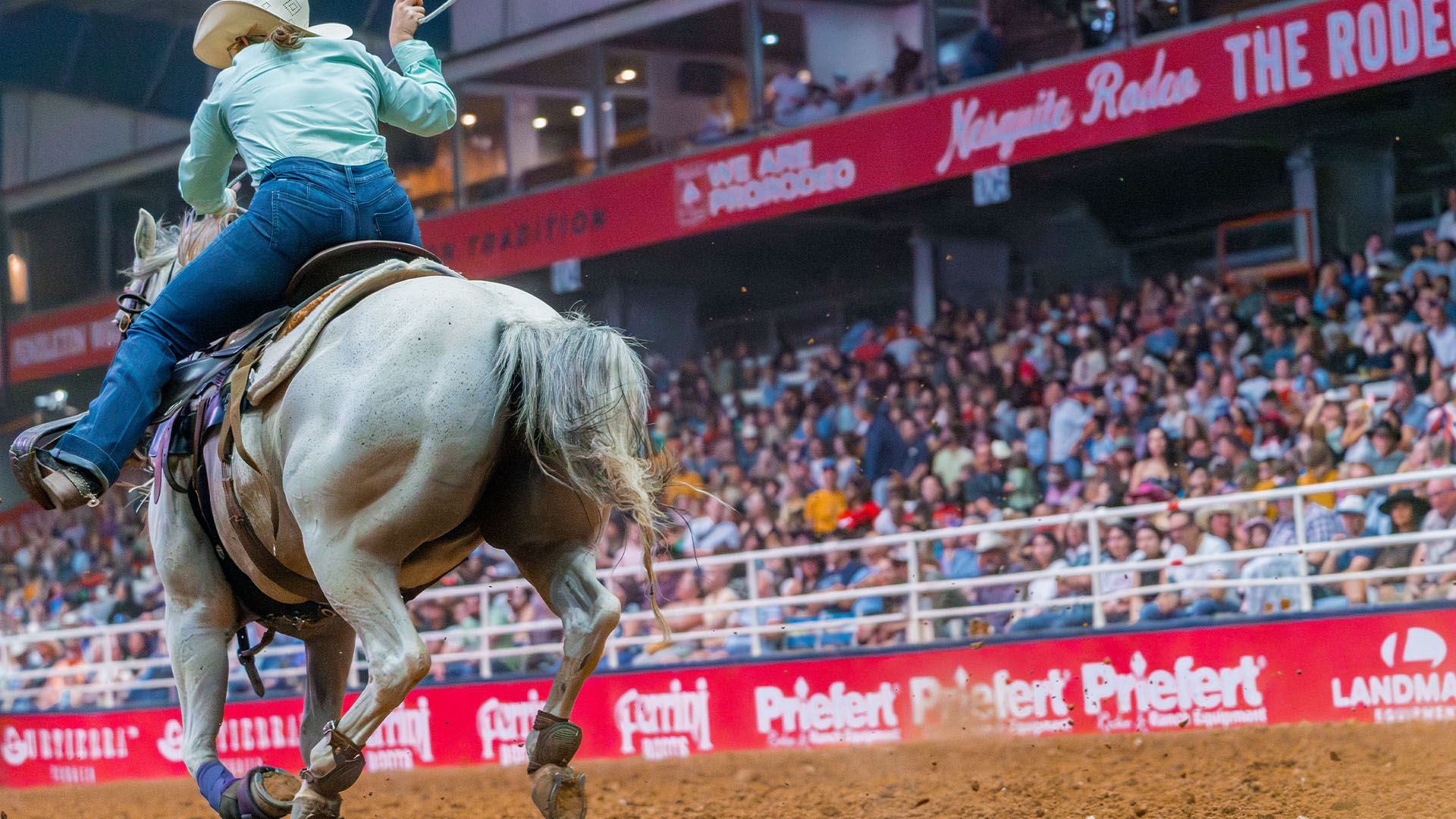 Mosquito Rodeo Tickets | Mesquite Rodeo