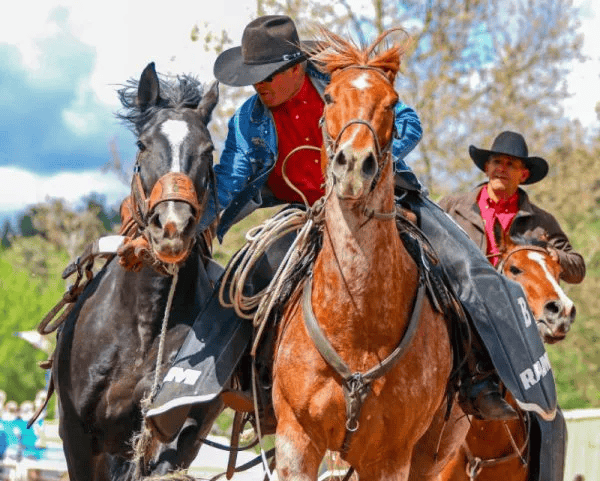 Rodeo