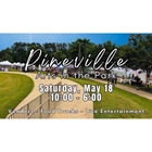 Pineville Arts in The Park