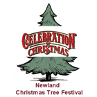 Newland Christmas Tree Festival