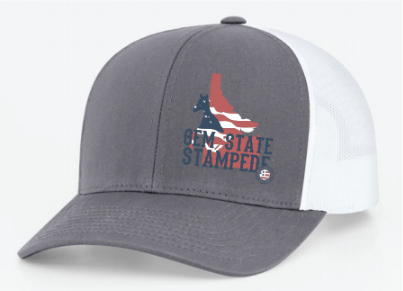 Grey Patriotic GSS Hat - SOLD OUT