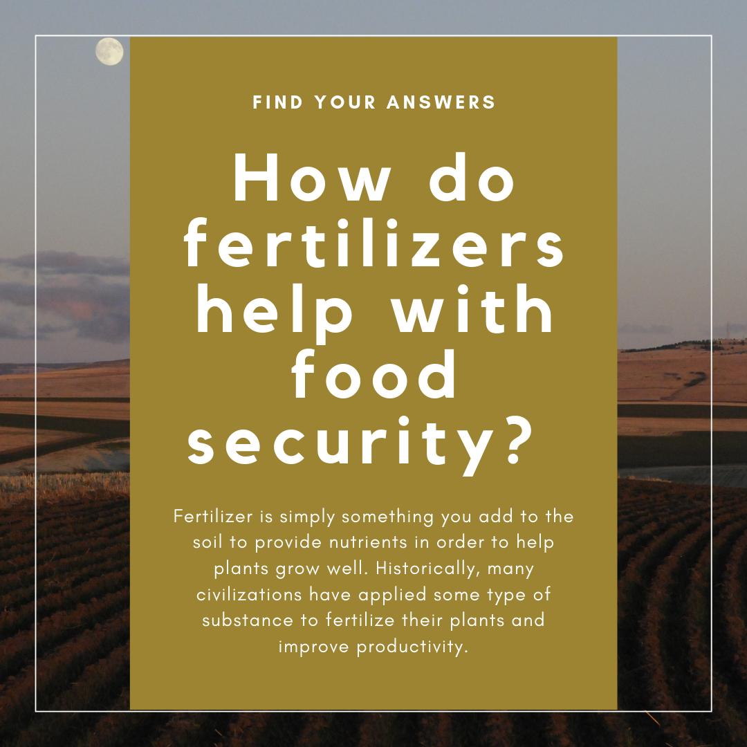 How do fertilizers help with food security? 