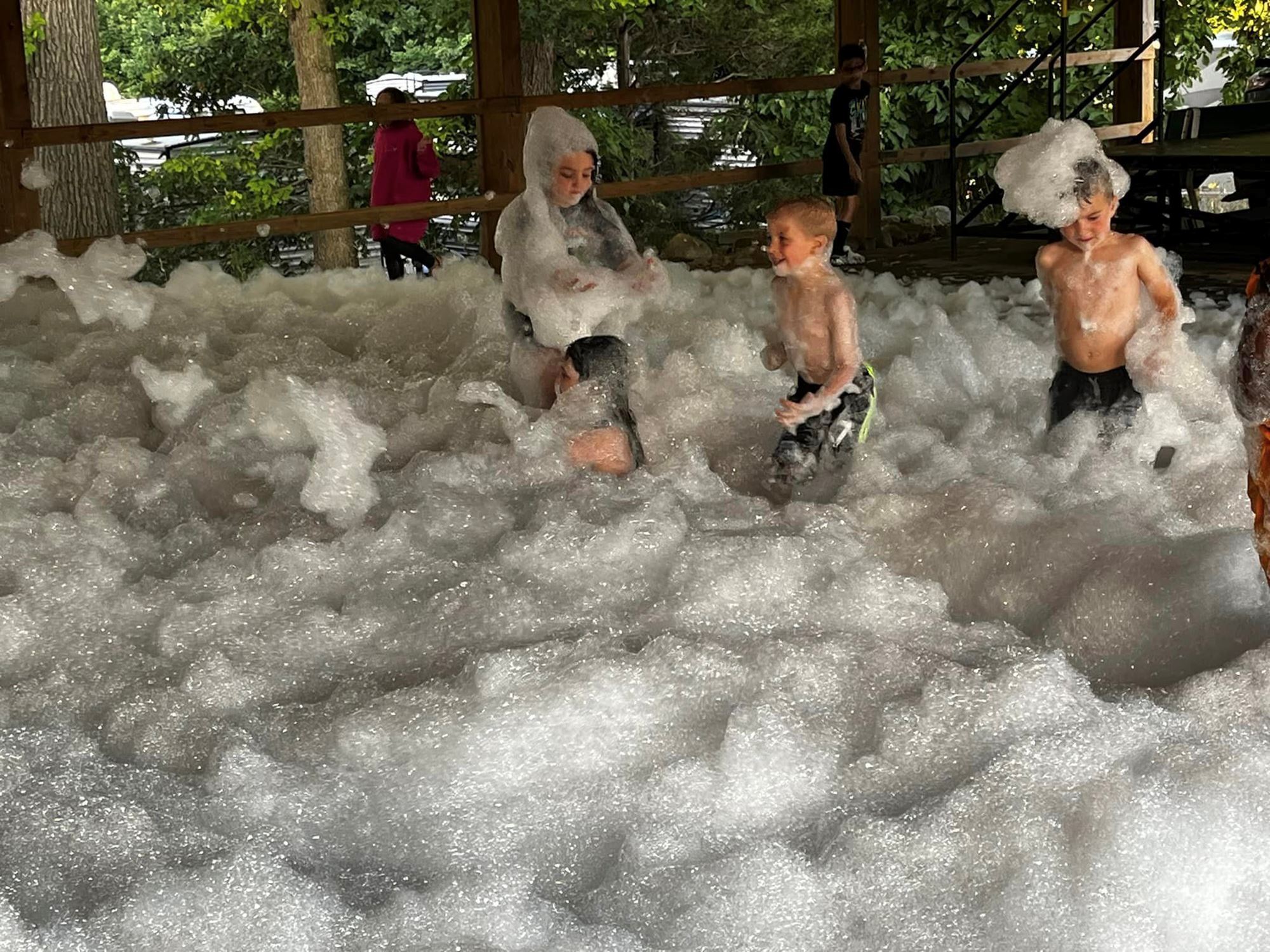 Photo Gallery photo-gallery