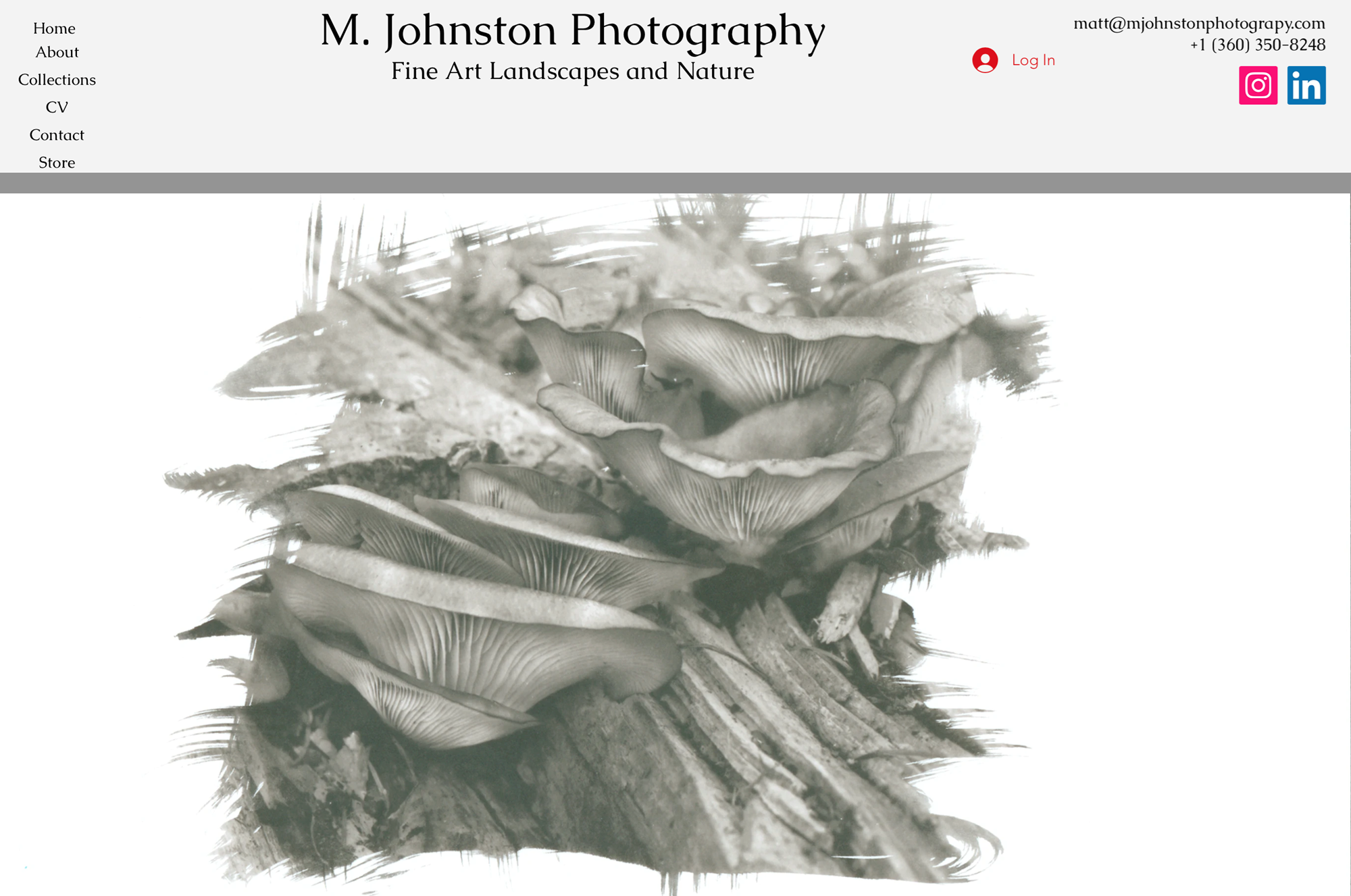 M. Johnston Fine Art Photography