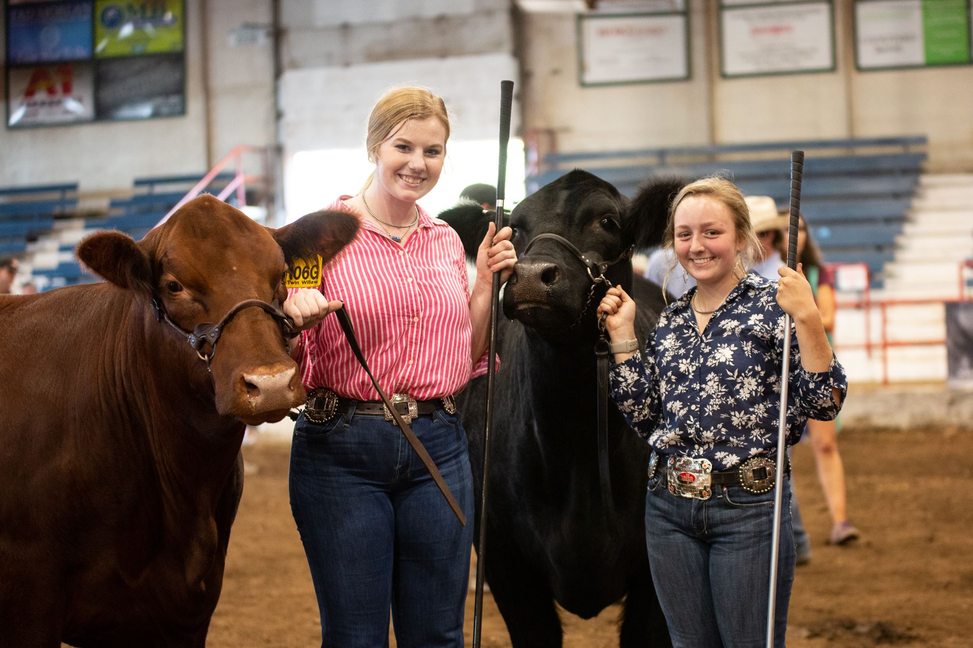 two girls smiling at the camera holding a red and black heifer.