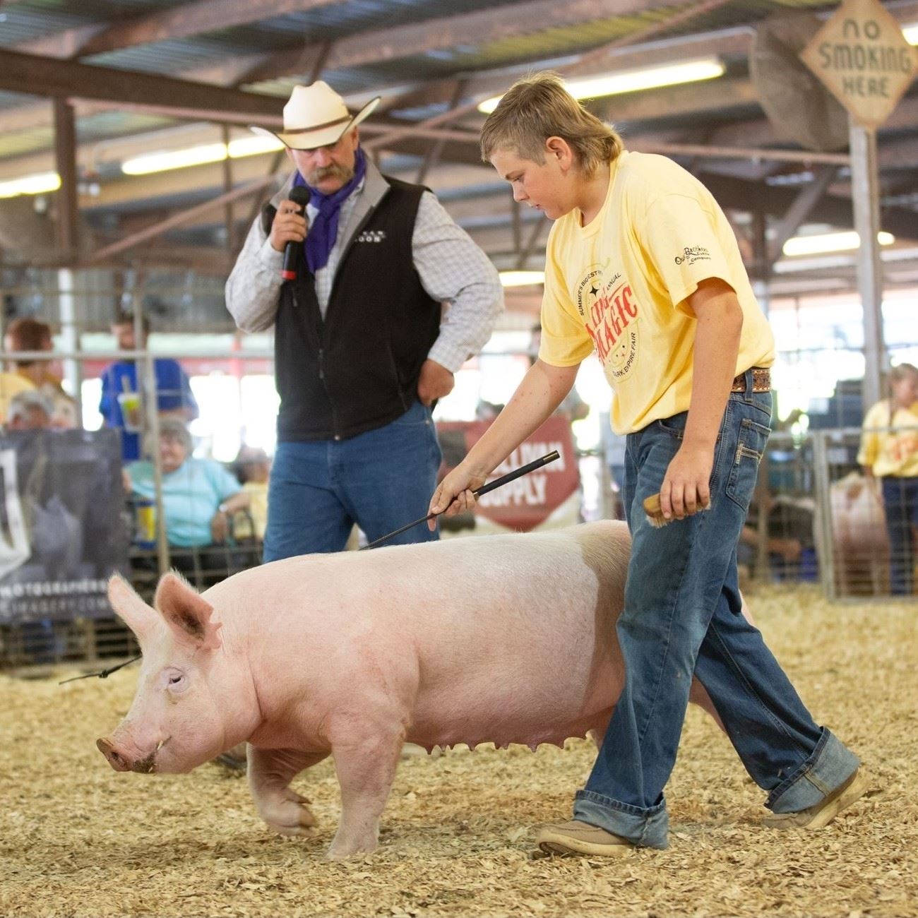 Boy showing a white pig while the judge examines the animal from the background.