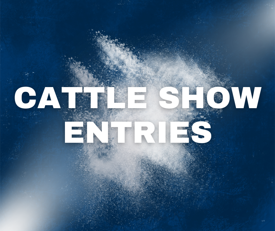 Cattle Shows