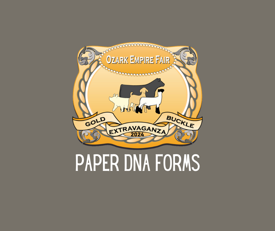 Paper DNA Form