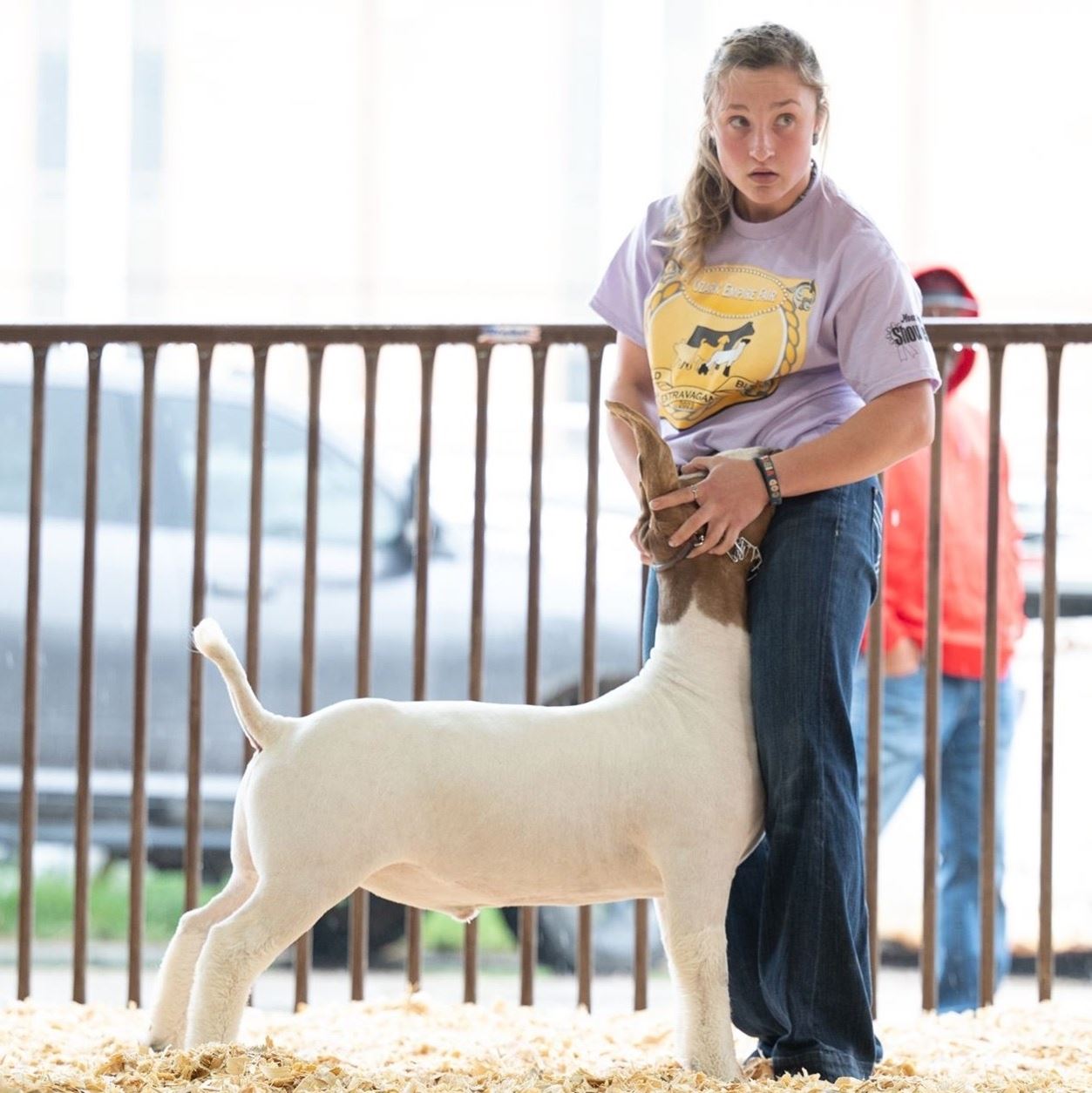 Girl showing a market lamb at the 2021 Gold Buckle Extravaganza