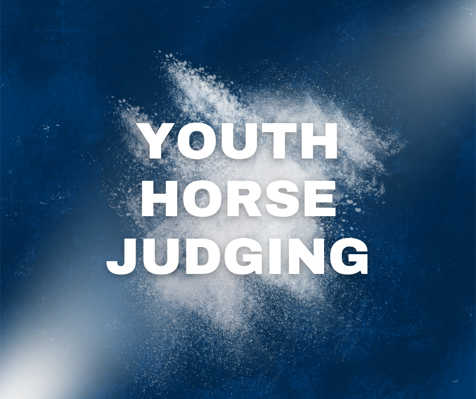 Youth Horse Judging