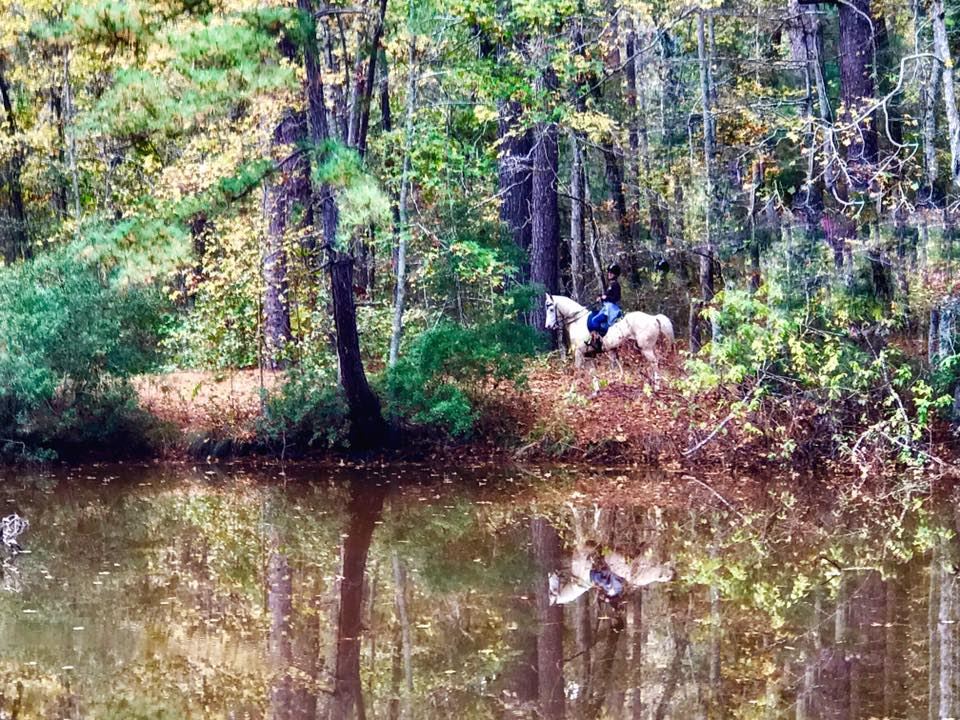 I.D. Fairchild State Forest