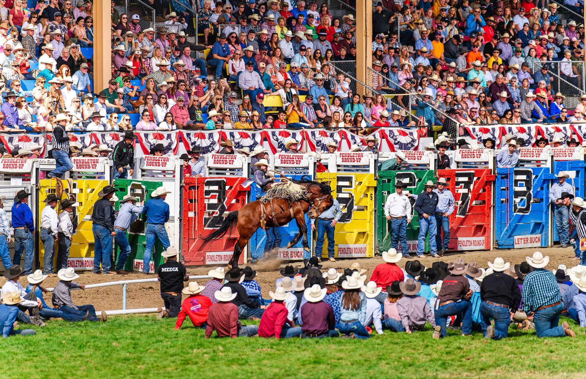 Beenleigh Rodeo About Us