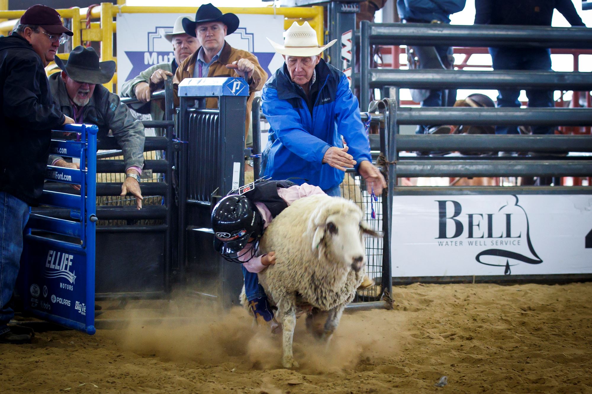 Mutton Class Livestock Exhibitors