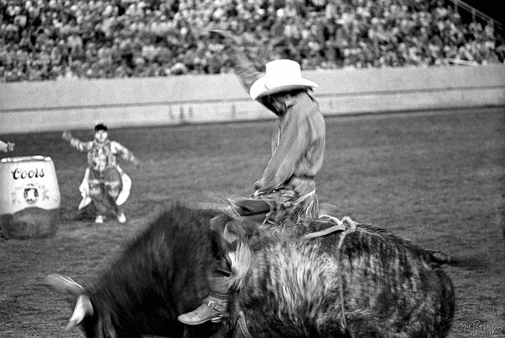 Lane Frost