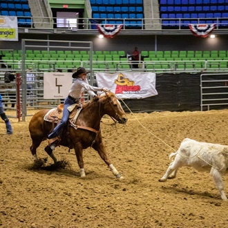 Breakaway Roping