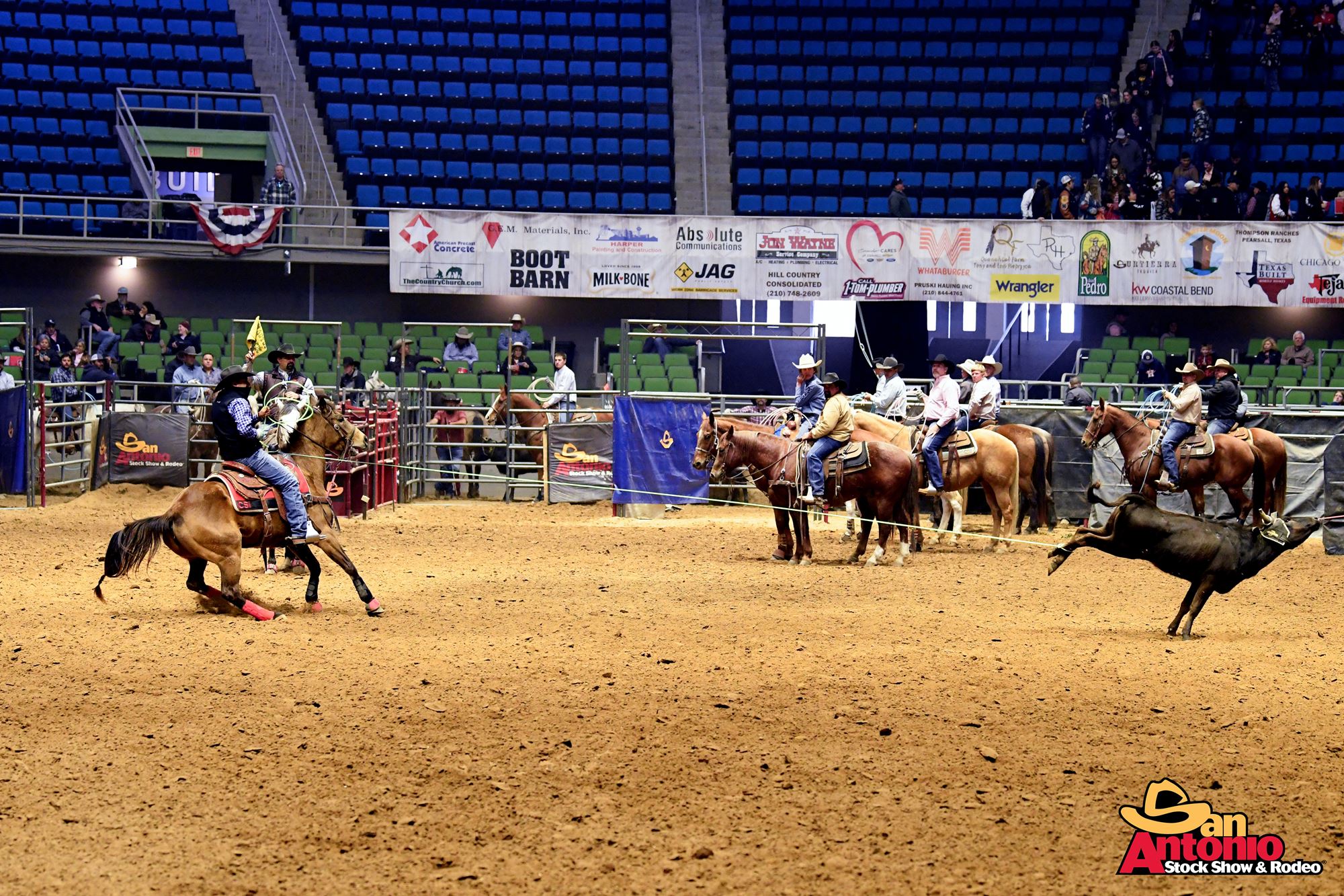Team Roping Bilder