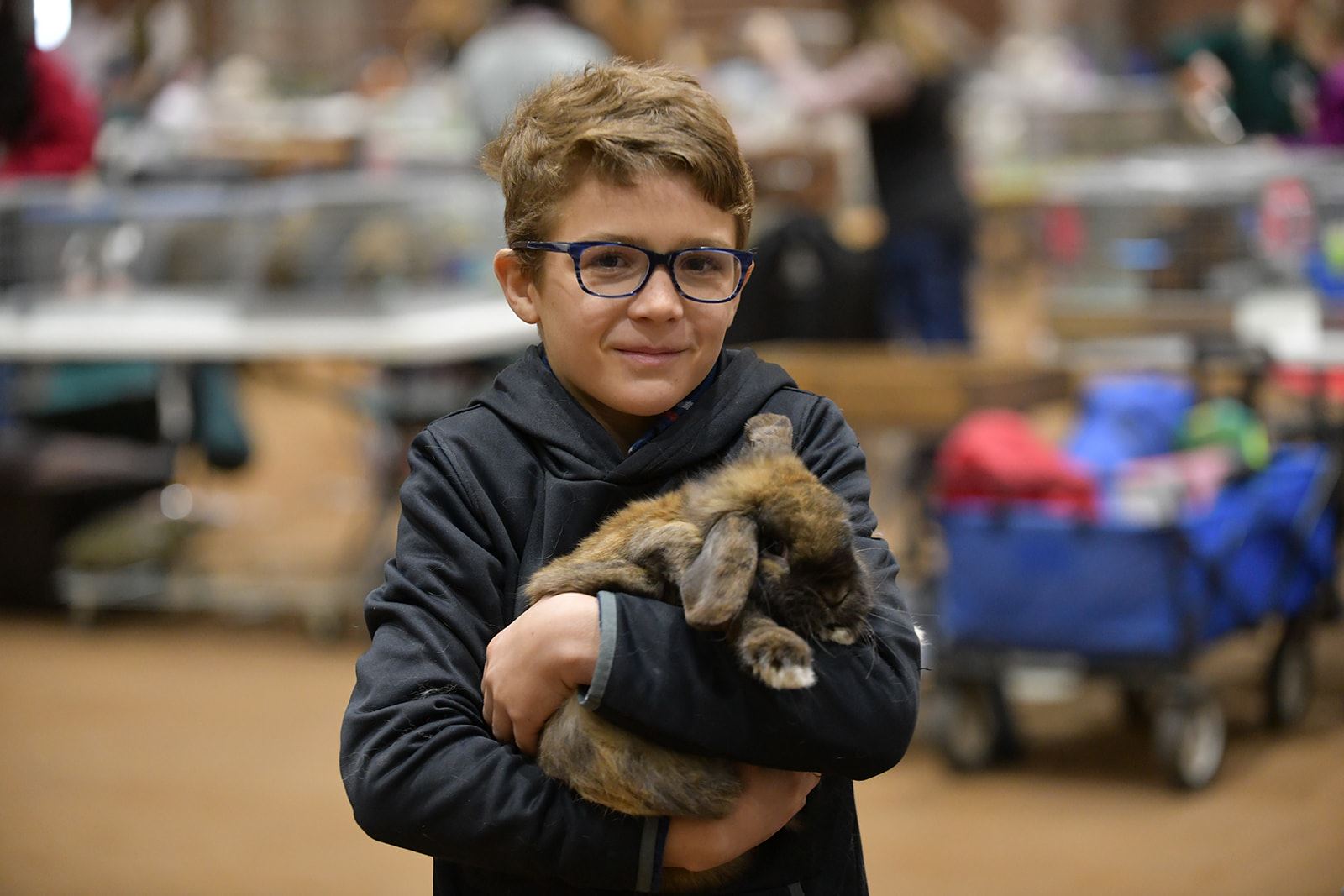 Green Rabbit Show Rabbit Junior Show