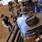 Rodeo Information