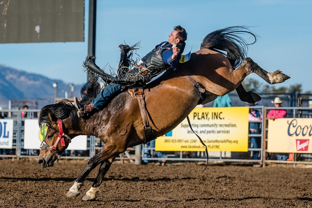 Gmh Rodeo Photo Gallery Detail