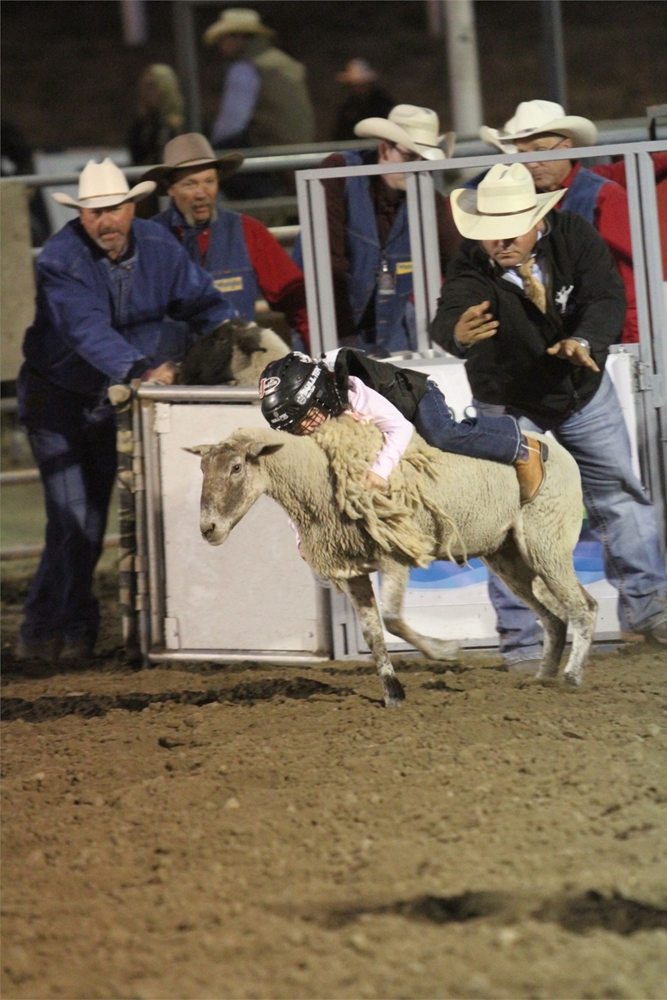 Photo Gallery Detail