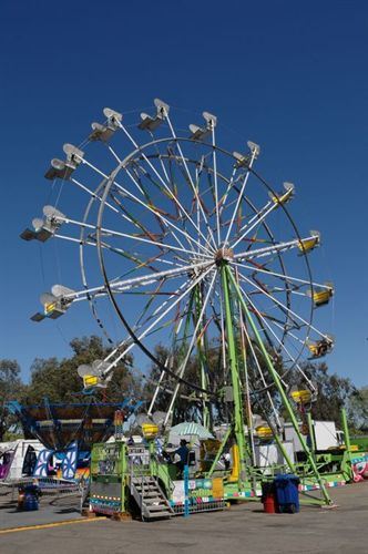 Clearhill Coin Rides Rides