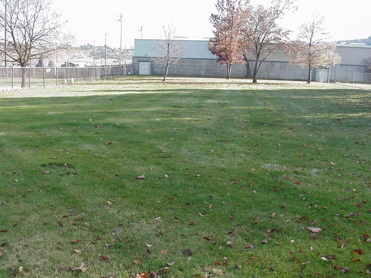 Bicentennial Lawn