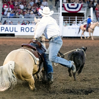 Rodeo Event Descriptions