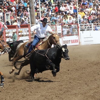 Rodeo Event Descriptions