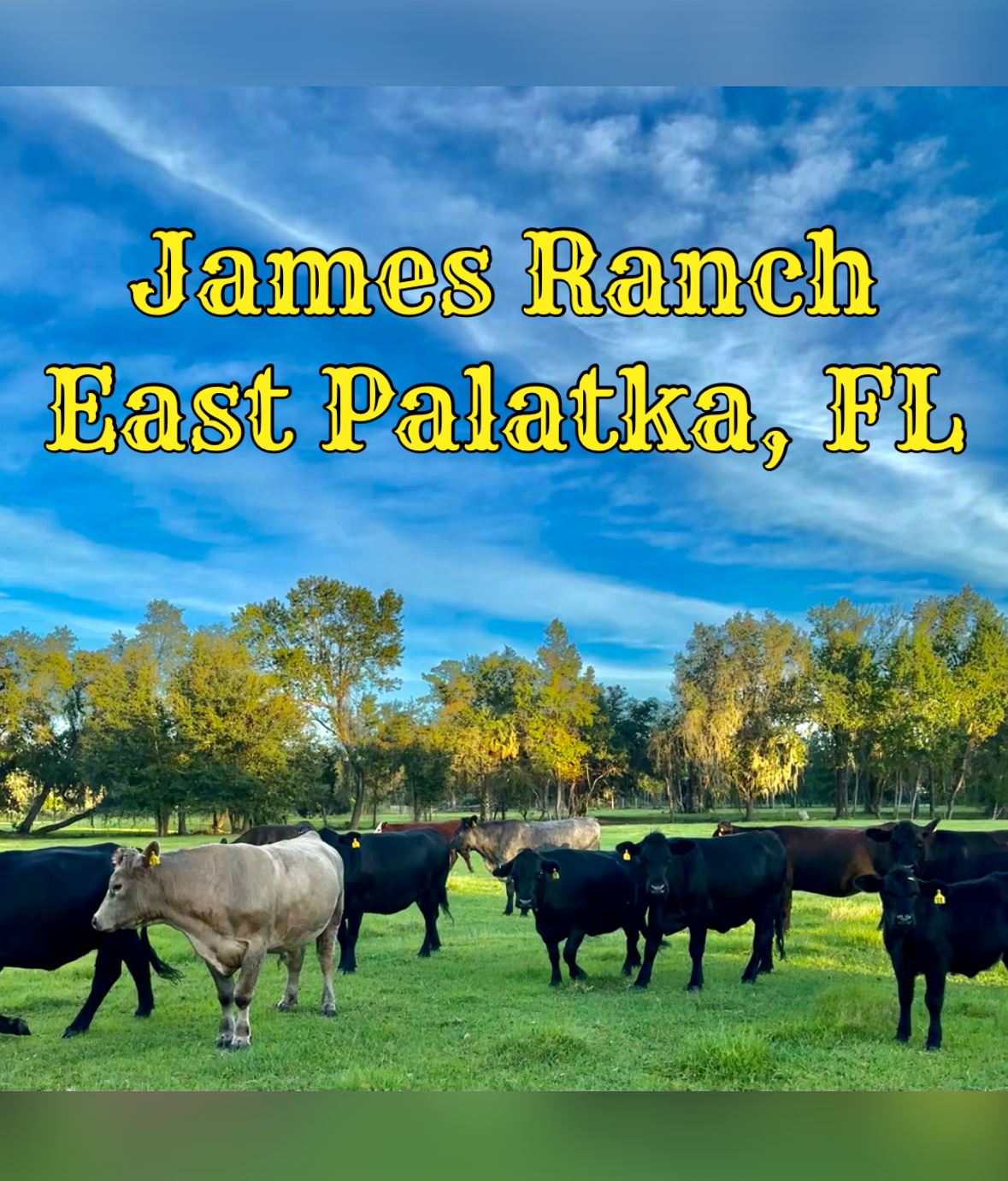 James Ranch