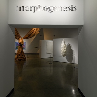 Morphogenesis / Oct - Jan 2023