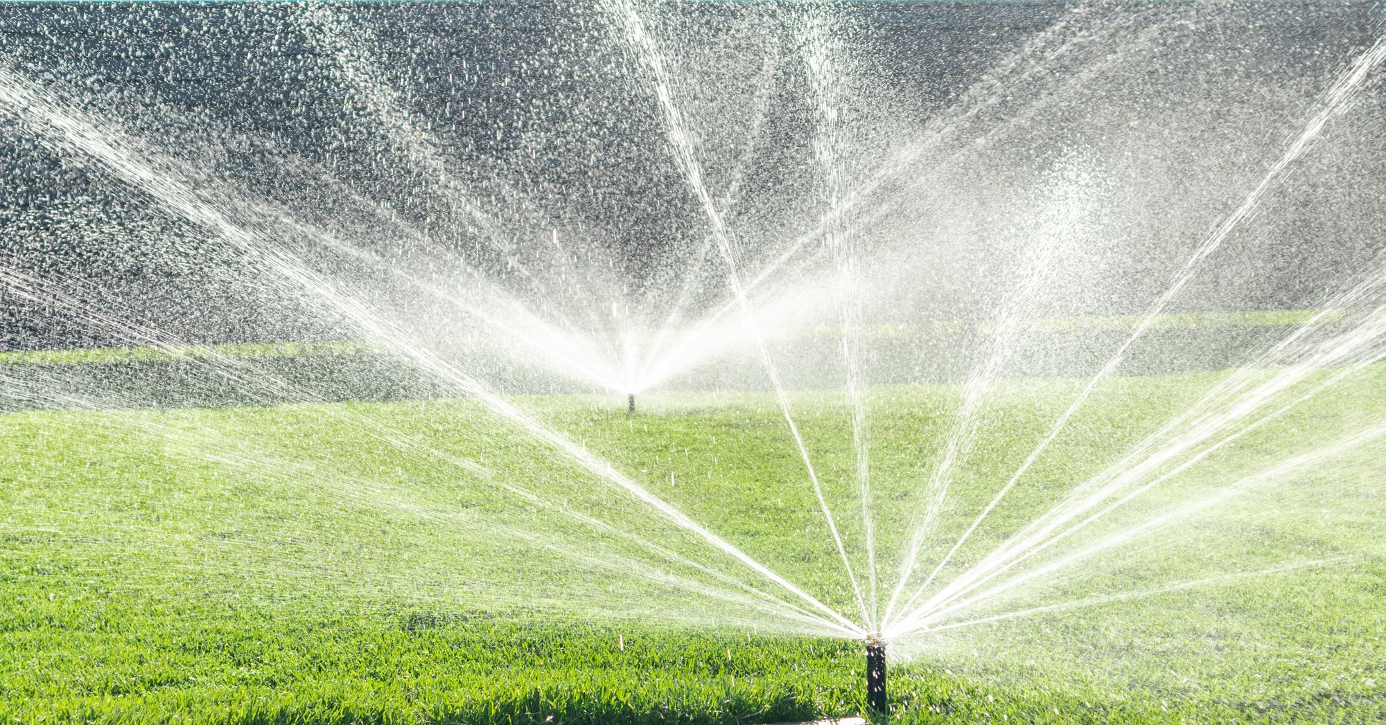 lawn with sprinklers on