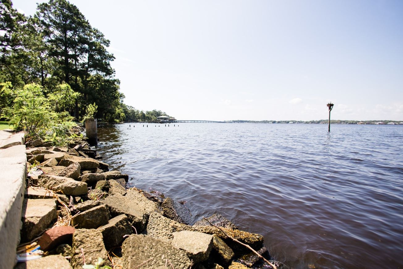 riprap at shoreline with trees in background on the St. Johns River
