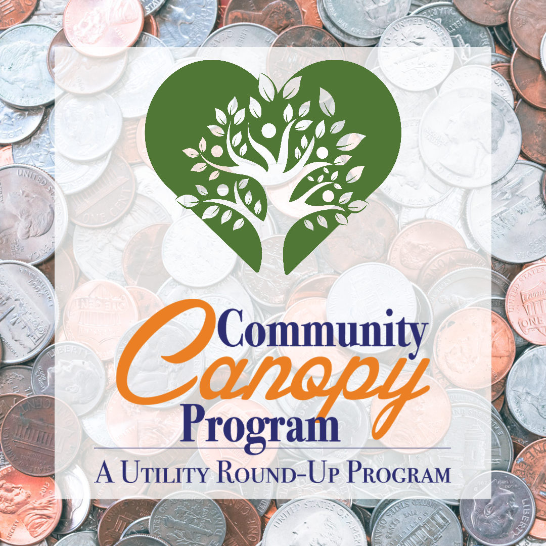 background of loose change with Community Canopy Program flyer in front.