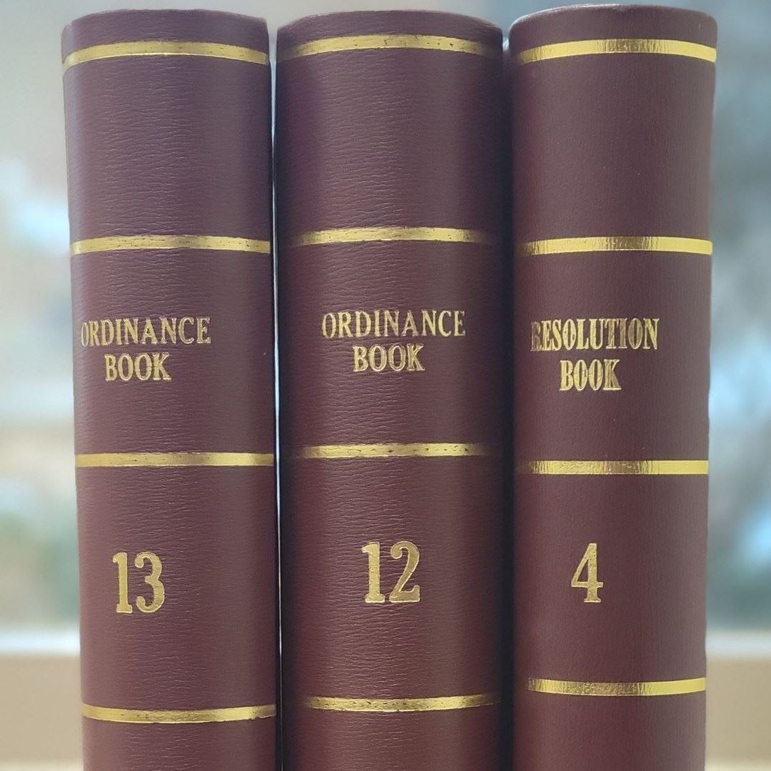 3 ordinance books