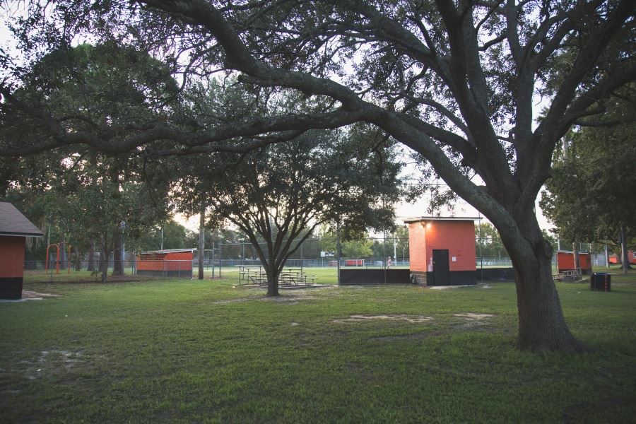 grassy lawn tree in forefront and orange structure  and additional trees in background 