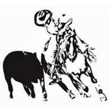 black calf, black horse, cowboy, cowboy hat