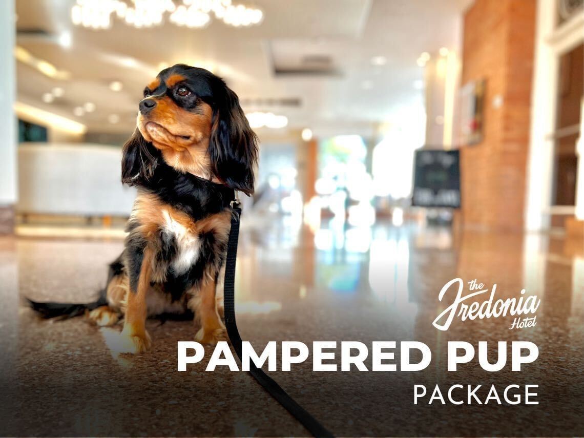 Pampered Pup Package