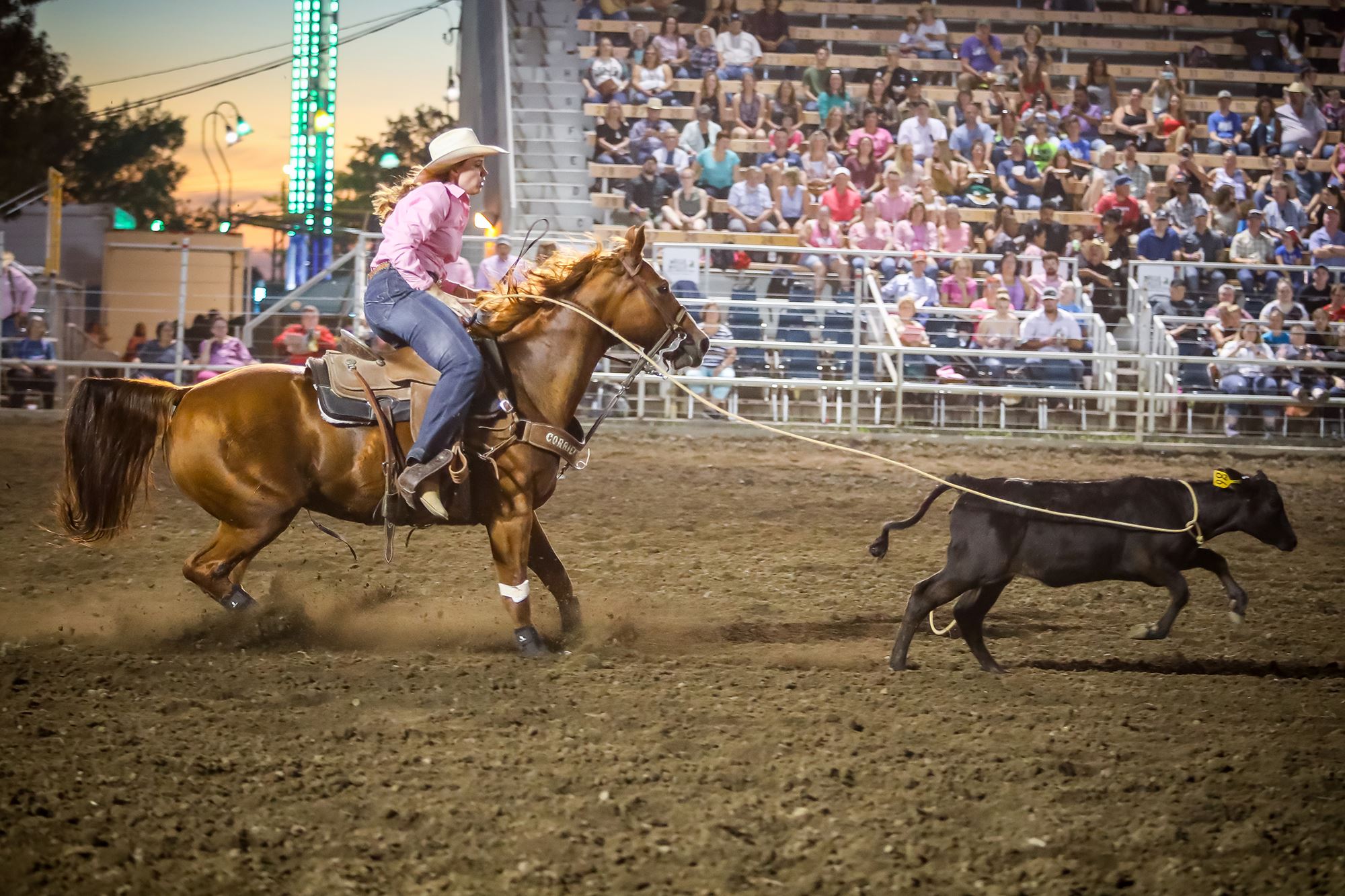 PRCA Rodeo