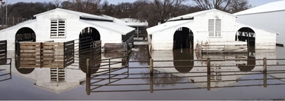Washington County Fair Ne Washington County Fair, Akron Colorado 2022
